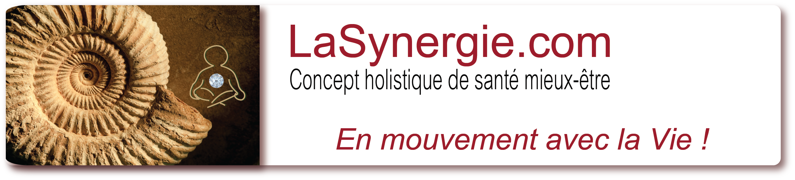 LaSynergie - En Mouvement avec la Vie !